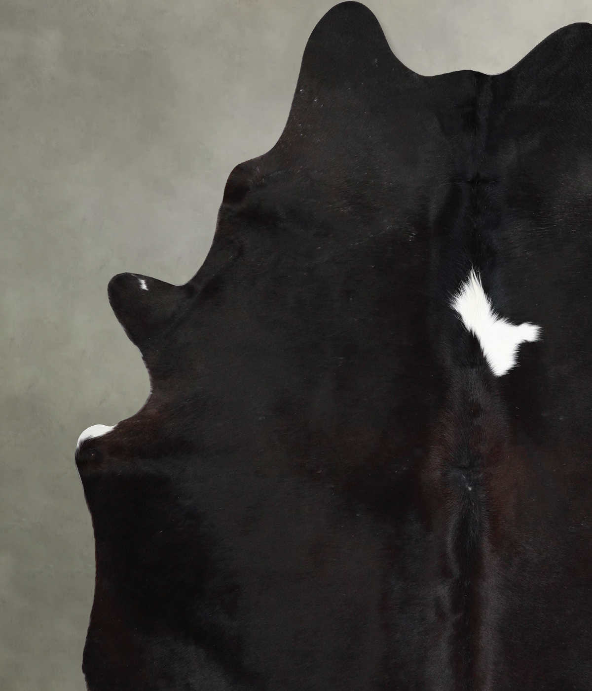 Chocolate and White XX-Large Brazilian Cowhide Rug 8'0"H x 6'7"W #A54542 by Hudson Hides