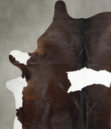 Chocolate and White XX-Large Brazilian Cowhide Rug 8'5"H x 6'11"W #A54544 by Hudson Hides