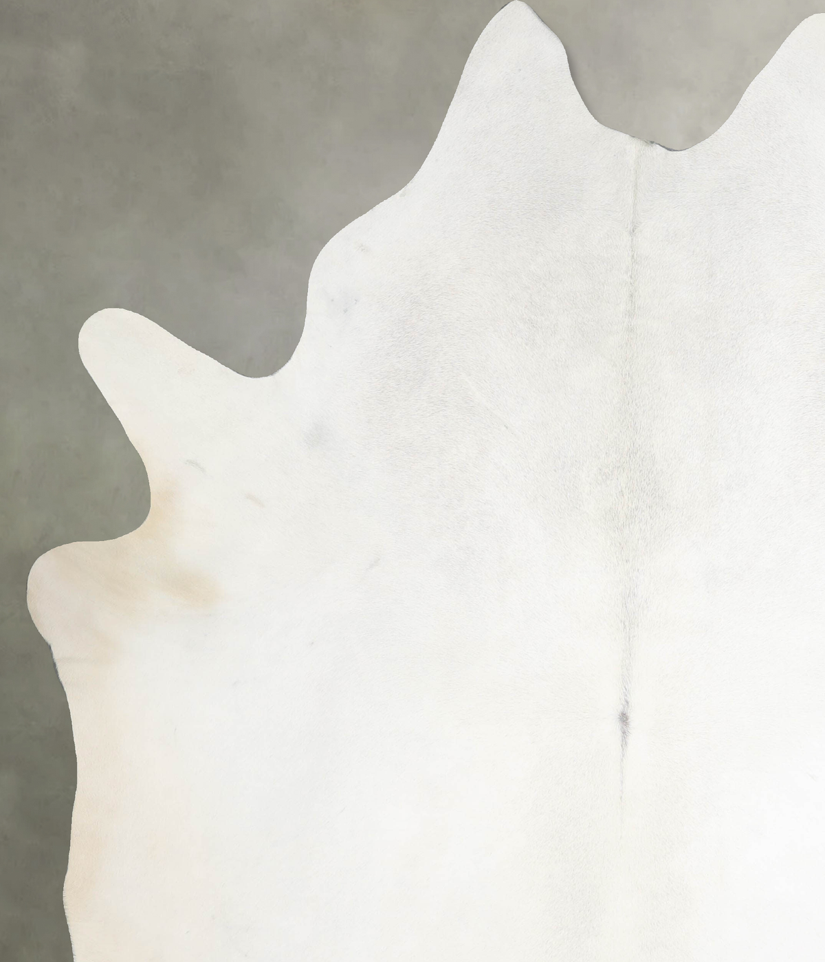 Light Grey XX-Large Brazilian Cowhide Rug 8'3"H x 6'8"W #A54552 by Hudson Hides