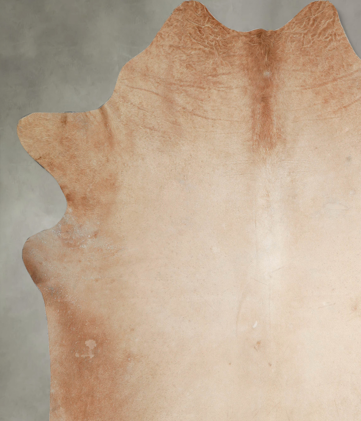 Beige XX-Large Brazilian Cowhide Rug 8'2"H x 7'2"W #A54560 by Hudson Hides