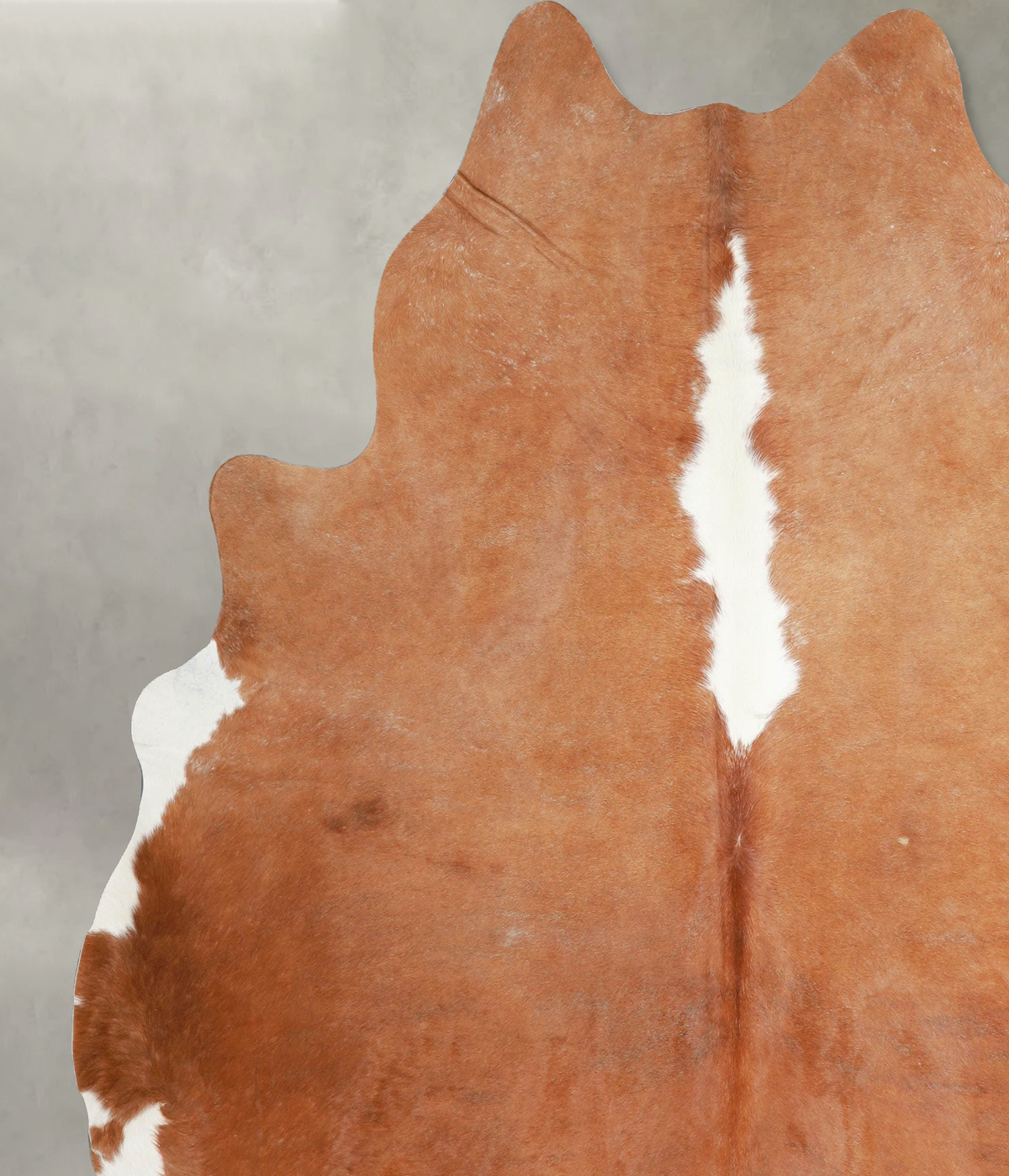 Brown and White Regular XX-Large Brazilian Cowhide Rug 7'6"H x 6'11"W #A54563 by Hudson Hides