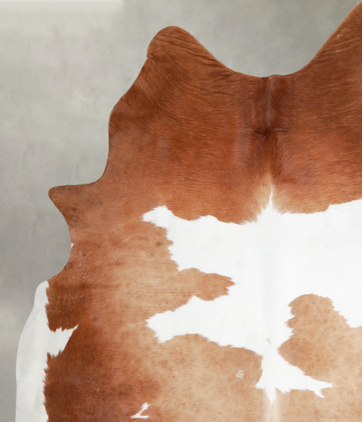 Brown and White XX-Large Brazilian Cowhide Rug 8'1"H x 6'6"W #A54564 by Hudson Hides