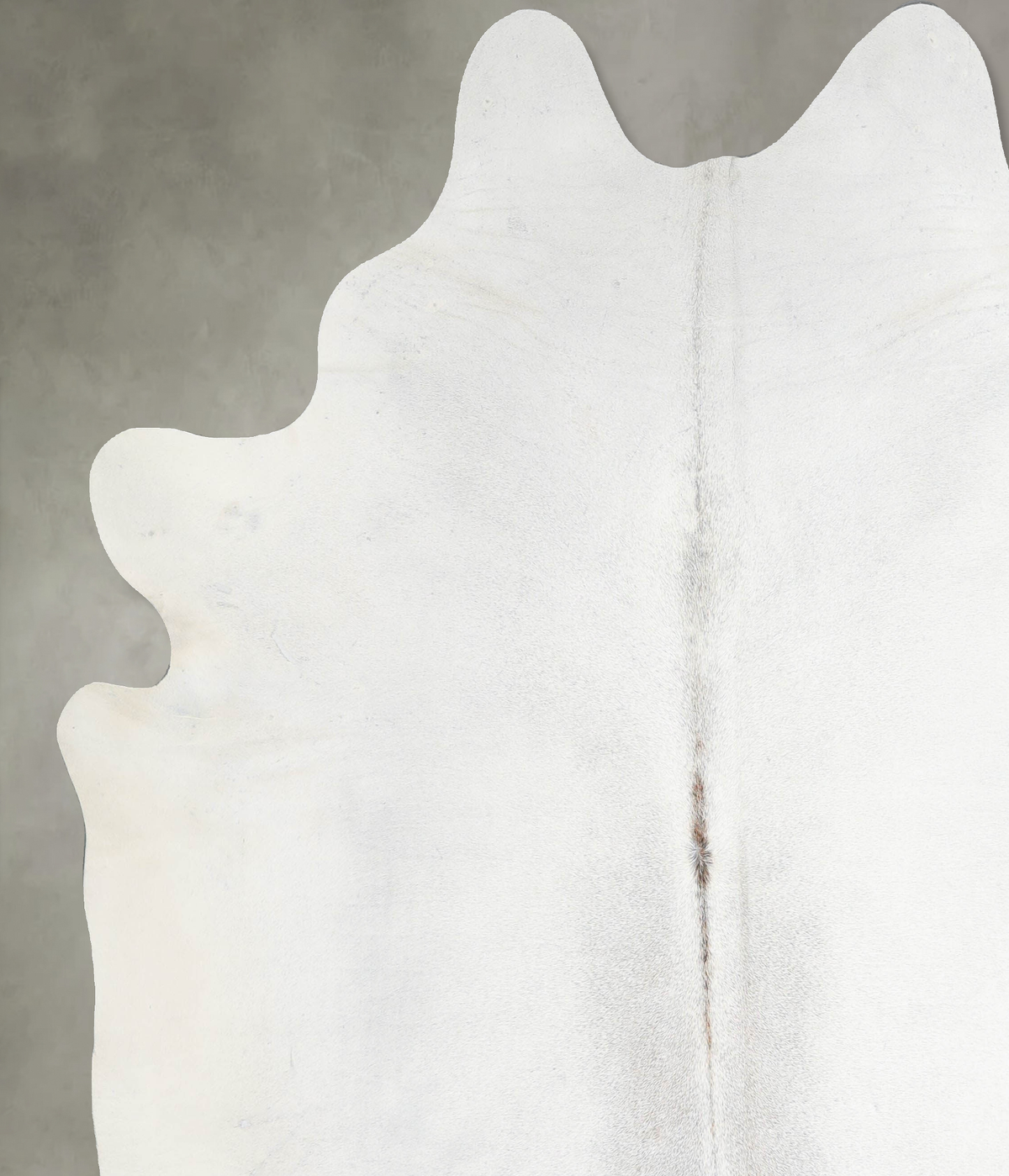 Light Grey XX-Large Brazilian Cowhide Rug 7'6"H x 7'0"W #A54566 by Hudson Hides