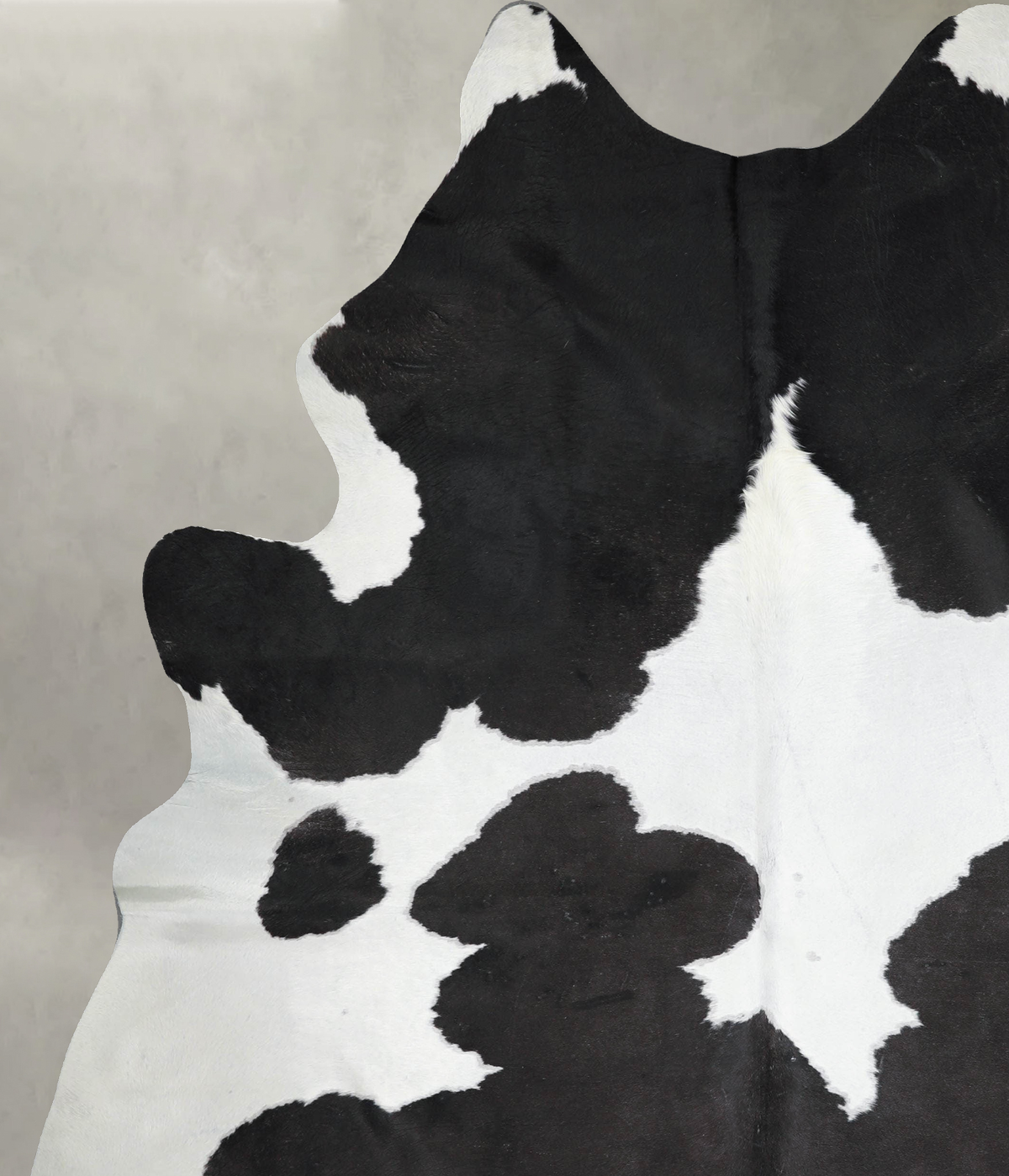Black and White XX-Large Brazilian Cowhide Rug 8'5"H x 6'6"W #A54569 by Hudson Hides