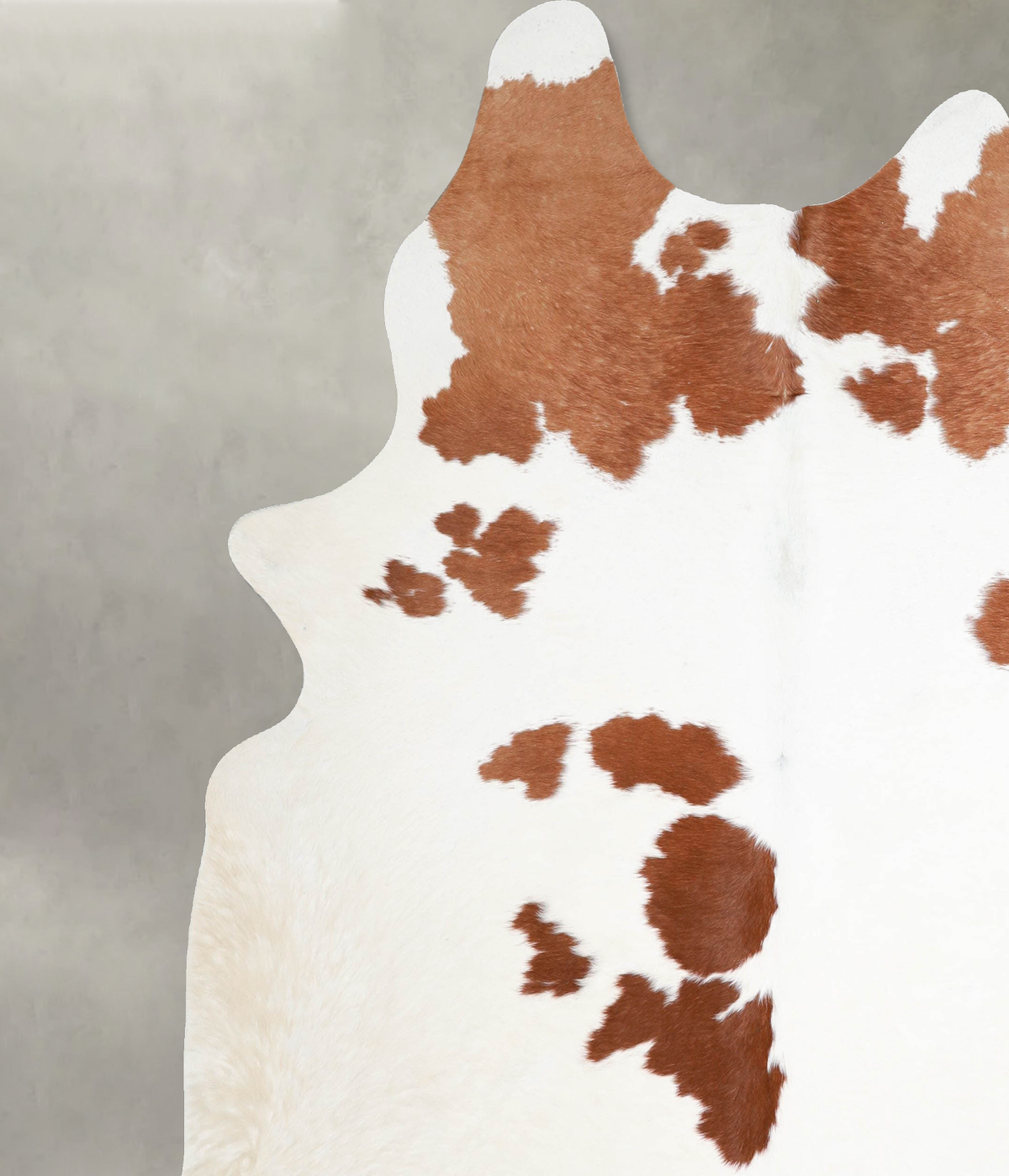 Brown and White XX-Large Brazilian Cowhide Rug 7'11"H x 6'8"W #A54571 by Hudson Hides