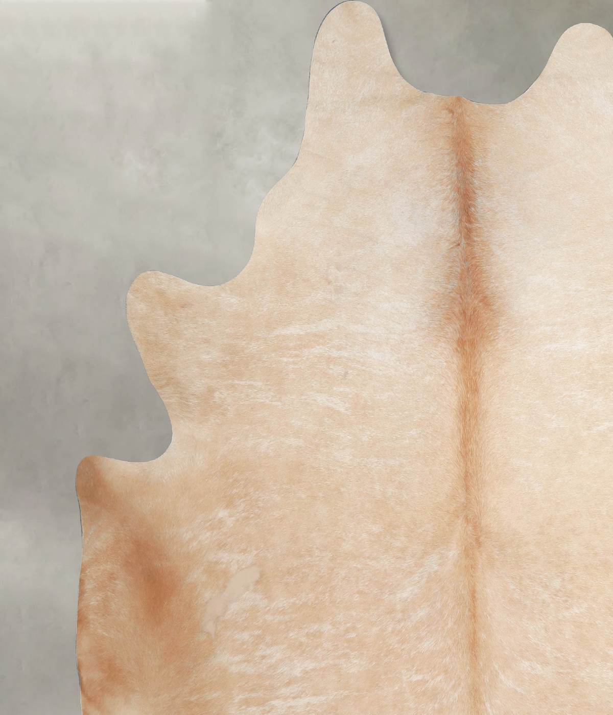 Palomino XX-Large Brazilian Cowhide Rug 8'1"H x 7'2"W #A54574 by Hudson Hides