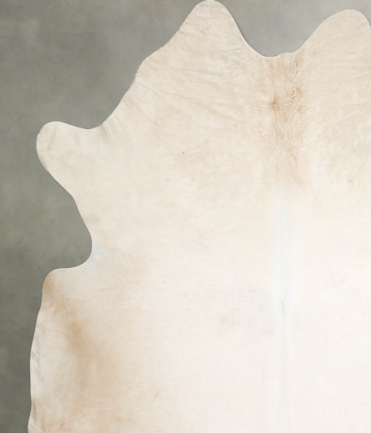 Ivory with Beige XX-Large Brazilian Cowhide Rug 7'7"H x 7'1"W #A54575 by Hudson Hides