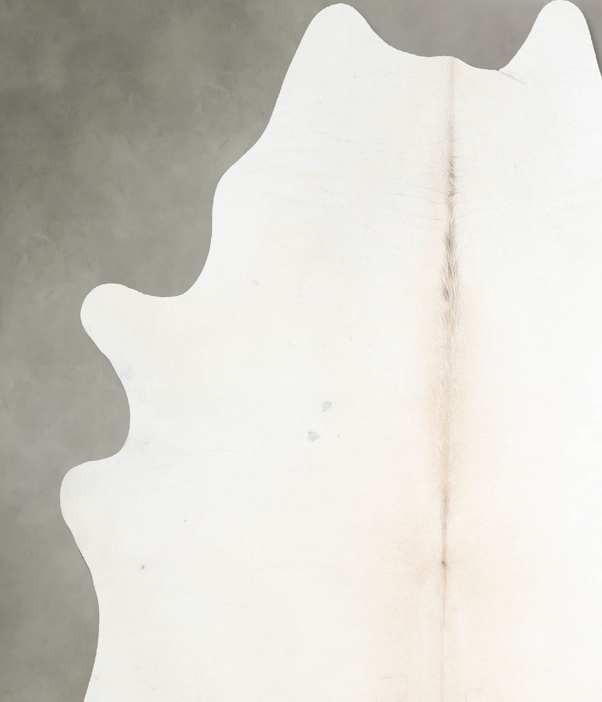 Ivory with Beige X-Large Brazilian Cowhide Rug 6'11"H x 6'7"W #A54577 by Hudson Hides