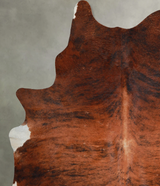 Medium Brindle XX-Large Brazilian Cowhide Rug 8'5"H x 6'2"W #A54578 by Hudson Hides