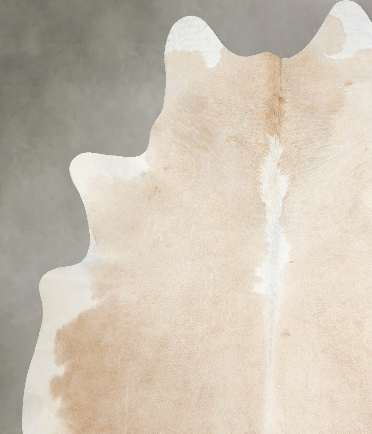 Beige and White X-Large Brazilian Cowhide Rug 7'9"H x 6'3"W #A54583 by Hudson Hides