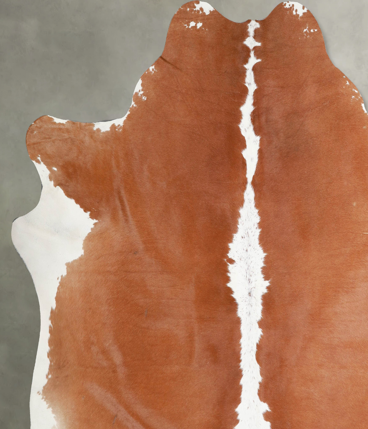 Brown and White Regular XX-Large Brazilian Cowhide Rug 7'7"H x 7'3"W #A54591 by Hudson Hides