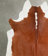Hereford XX-Large Brazilian Cowhide Rug 8'8"H x 7'8"W #A54594 by Hudson Hides