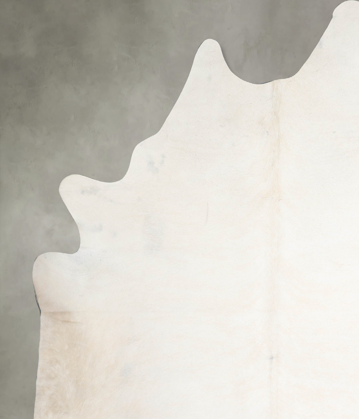 Ivory with Beige XX-Large Brazilian Cowhide Rug 8'9"H x 7'2"W #A54597 by Hudson Hides