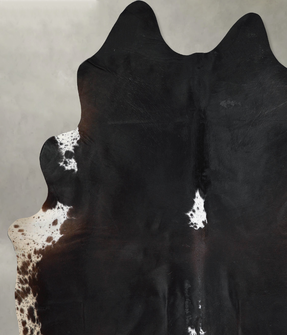 Chocolate and White XX-Large Brazilian Cowhide Rug 8'5"H x 7'3"W #A54598 by Hudson Hides