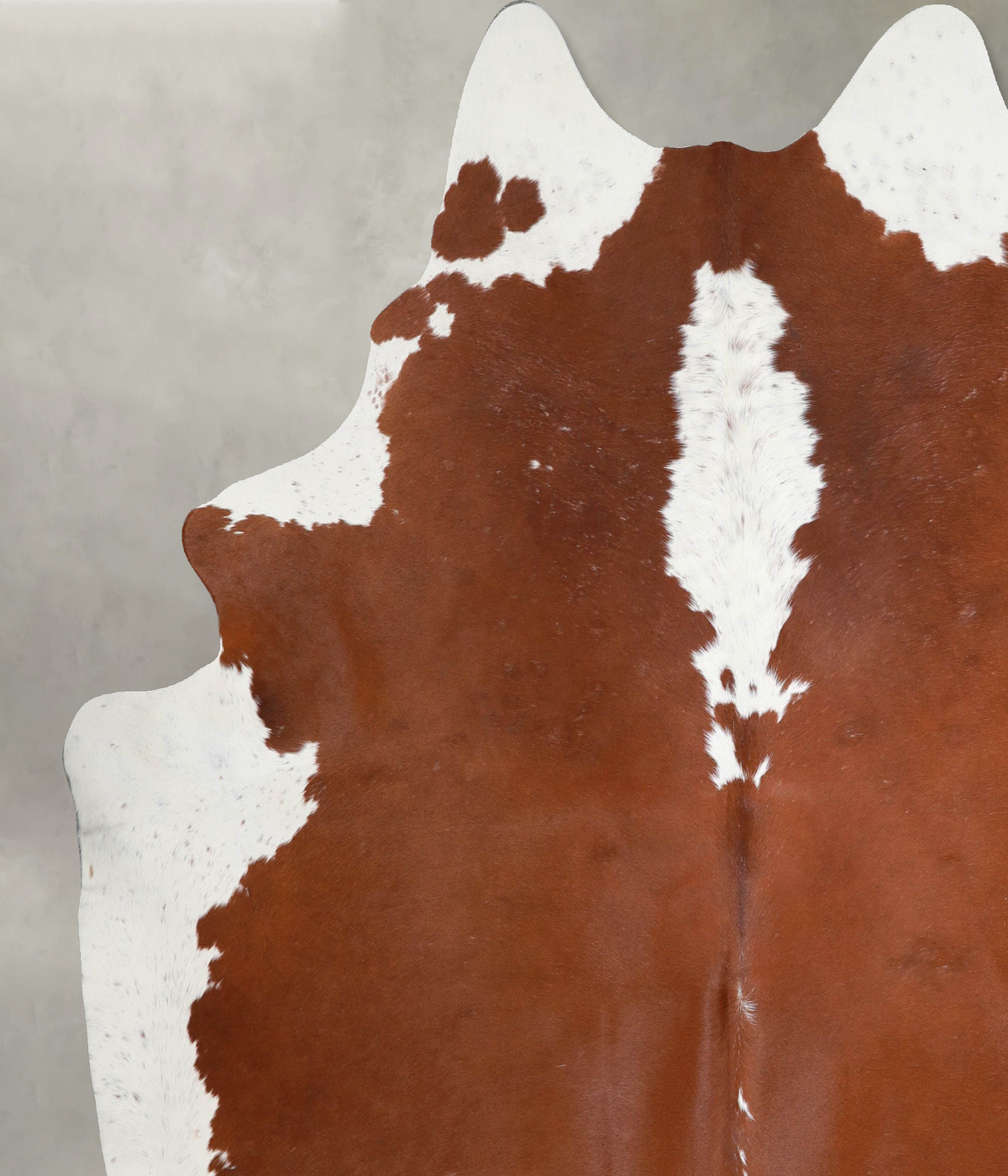 Brown and White Regular XX-Large Brazilian Cowhide Rug 8'1"H x 7'1"W #A54617 by Hudson Hides
