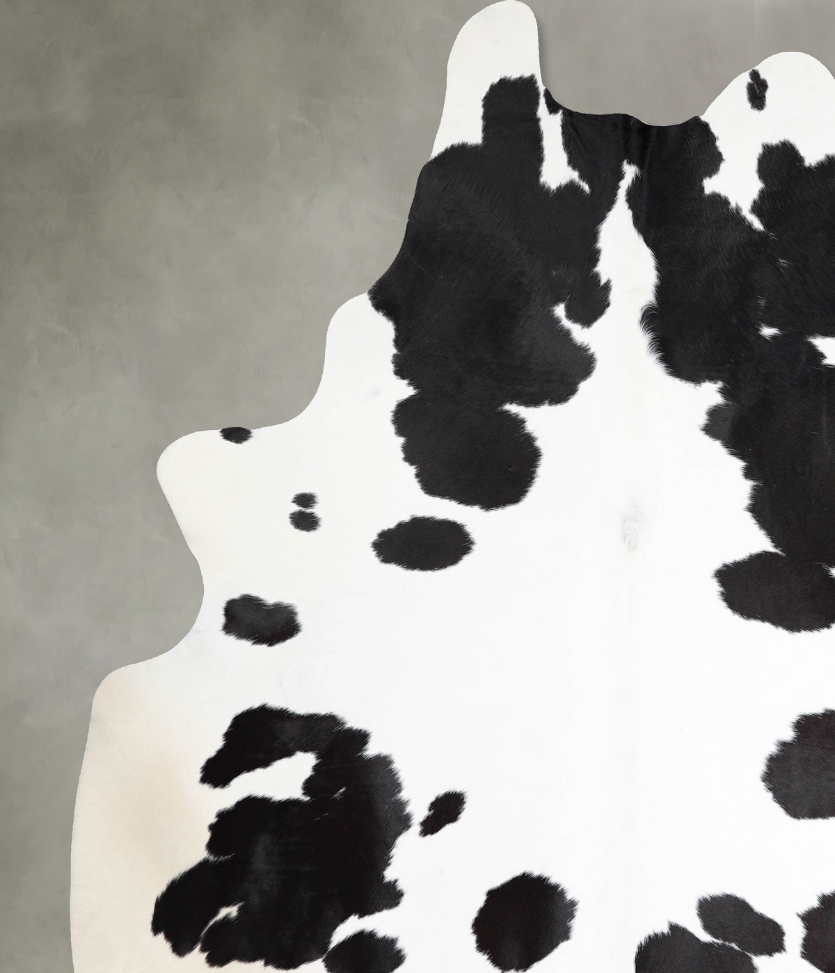 Black and White XX-Large Brazilian Cowhide Rug 8'8"H x 6'11"W #A54619 by Hudson Hides