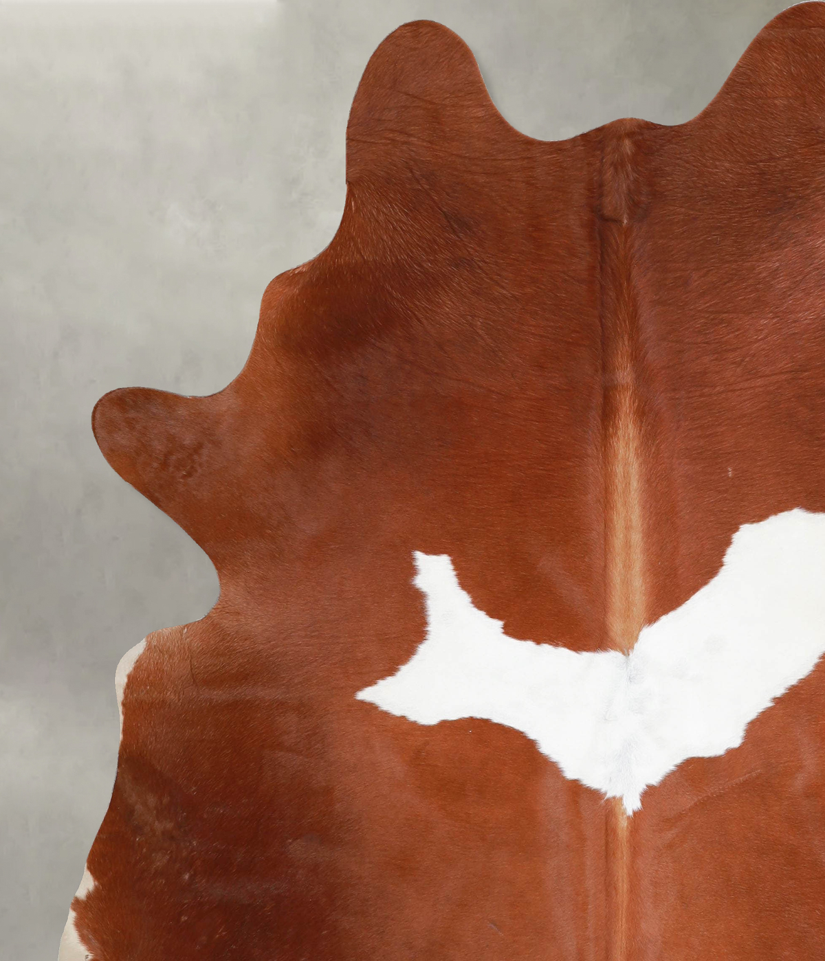 Brown and White X-Large Brazilian Cowhide Rug 7'4"H x 6'1"W #A54621 by Hudson Hides
