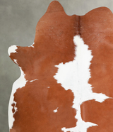 Brown and White X-Large Brazilian Cowhide Rug 7'2"H x 6'2"W #A54622 by Hudson Hides