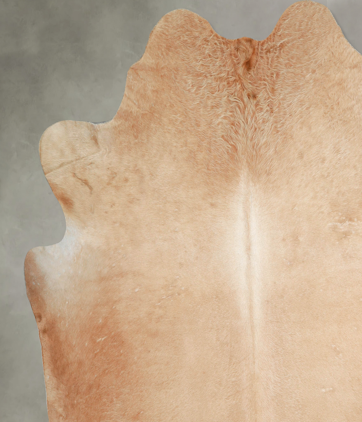 Solid Brown XX-Large Brazilian Cowhide Rug 8'3"H x 7'8"W #A54624 by Hudson Hides
