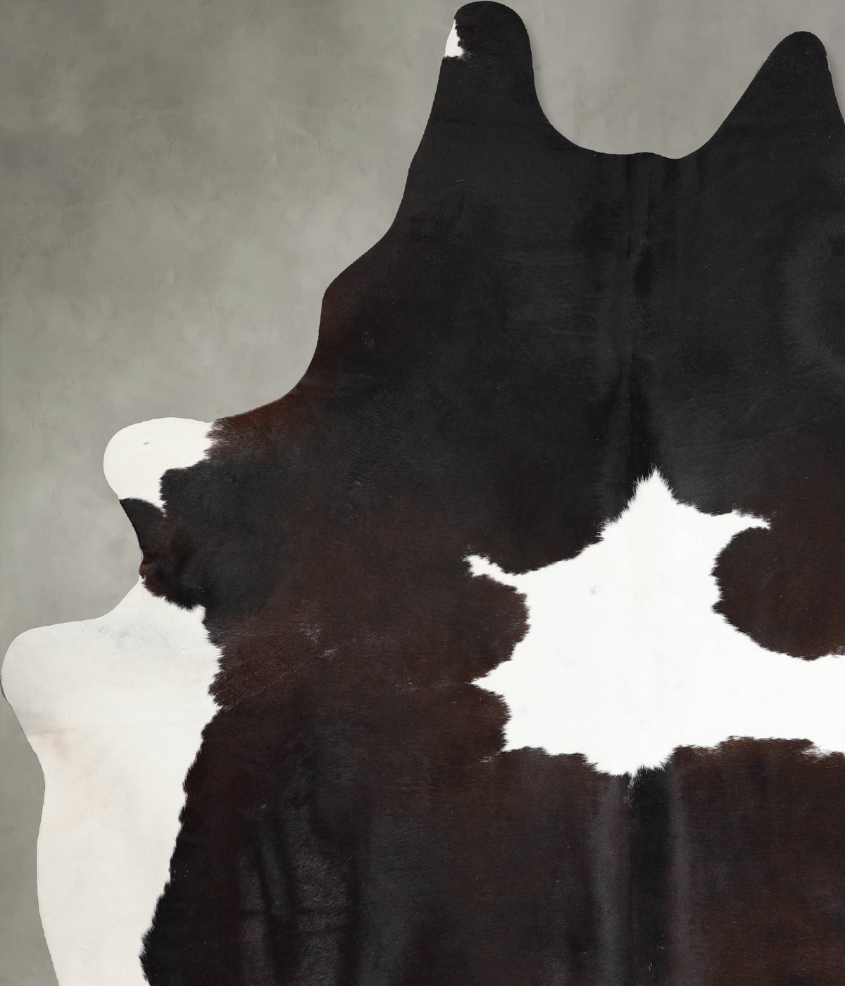 Chocolate and White XX-Large Brazilian Cowhide Rug 8'10"H x 6'6"W #A54632 by Hudson Hides