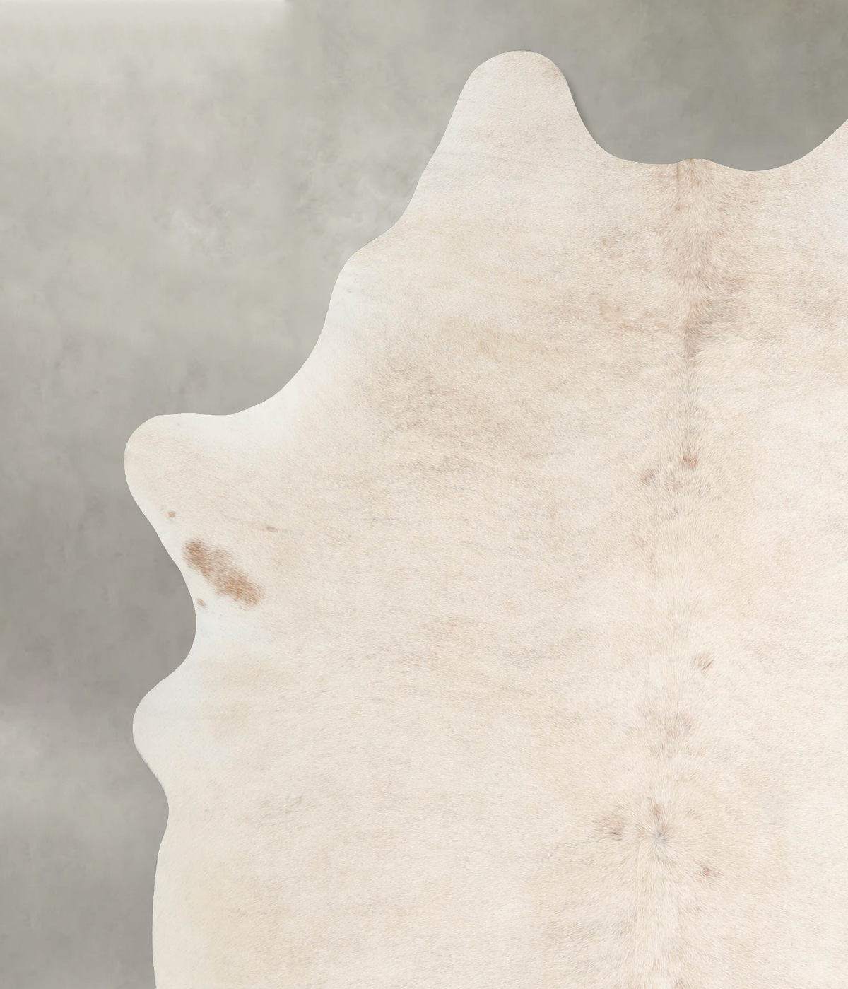 Ivory with Beige XX-Large Brazilian Cowhide Rug 8'2"H x 6'6"W #A54638 by Hudson Hides