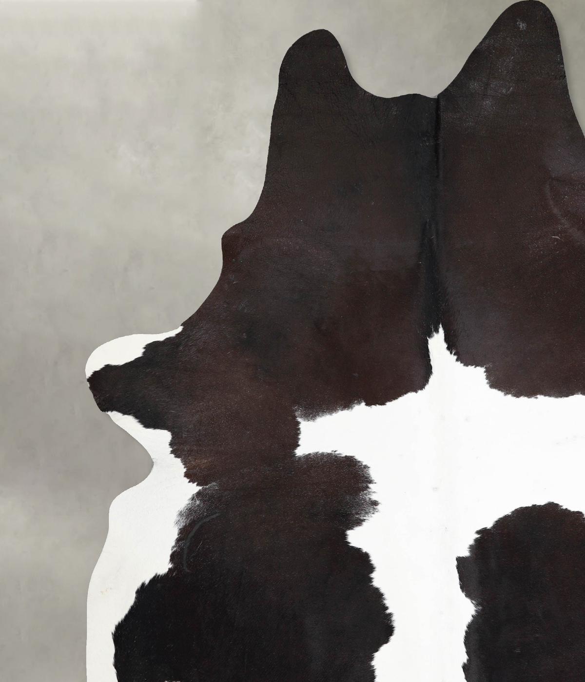 Chocolate and White XX-Large Brazilian Cowhide Rug 8'11"H x 7'1"W #A54639 by Hudson Hides