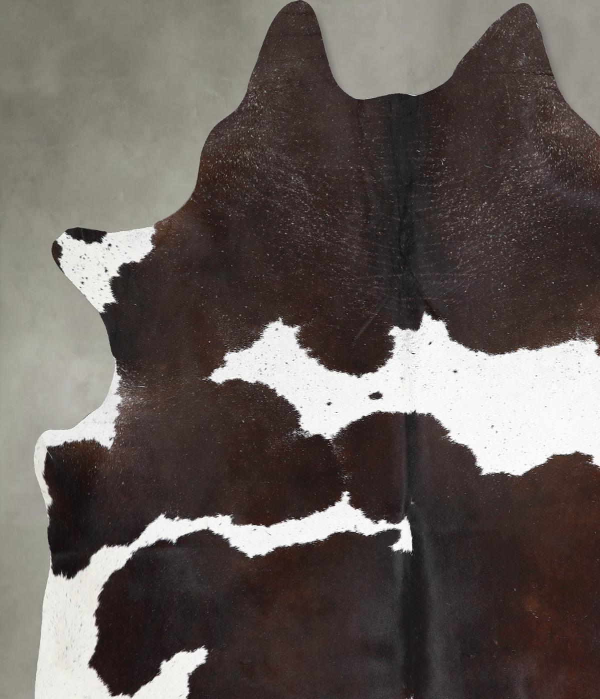 Chocolate and White X-Large Brazilian Cowhide Rug 6'11"H x 6'5"W #A54642 by Hudson Hides