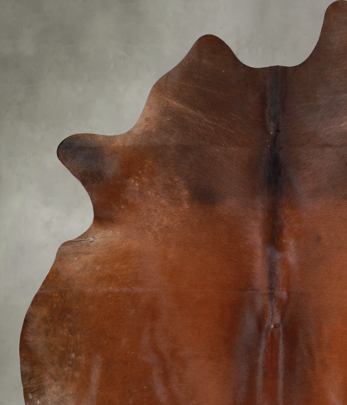Warm Caramel X-Large Brazilian Cowhide Rug 7'9"H x 6'4"W #A54645 by Hudson Hides