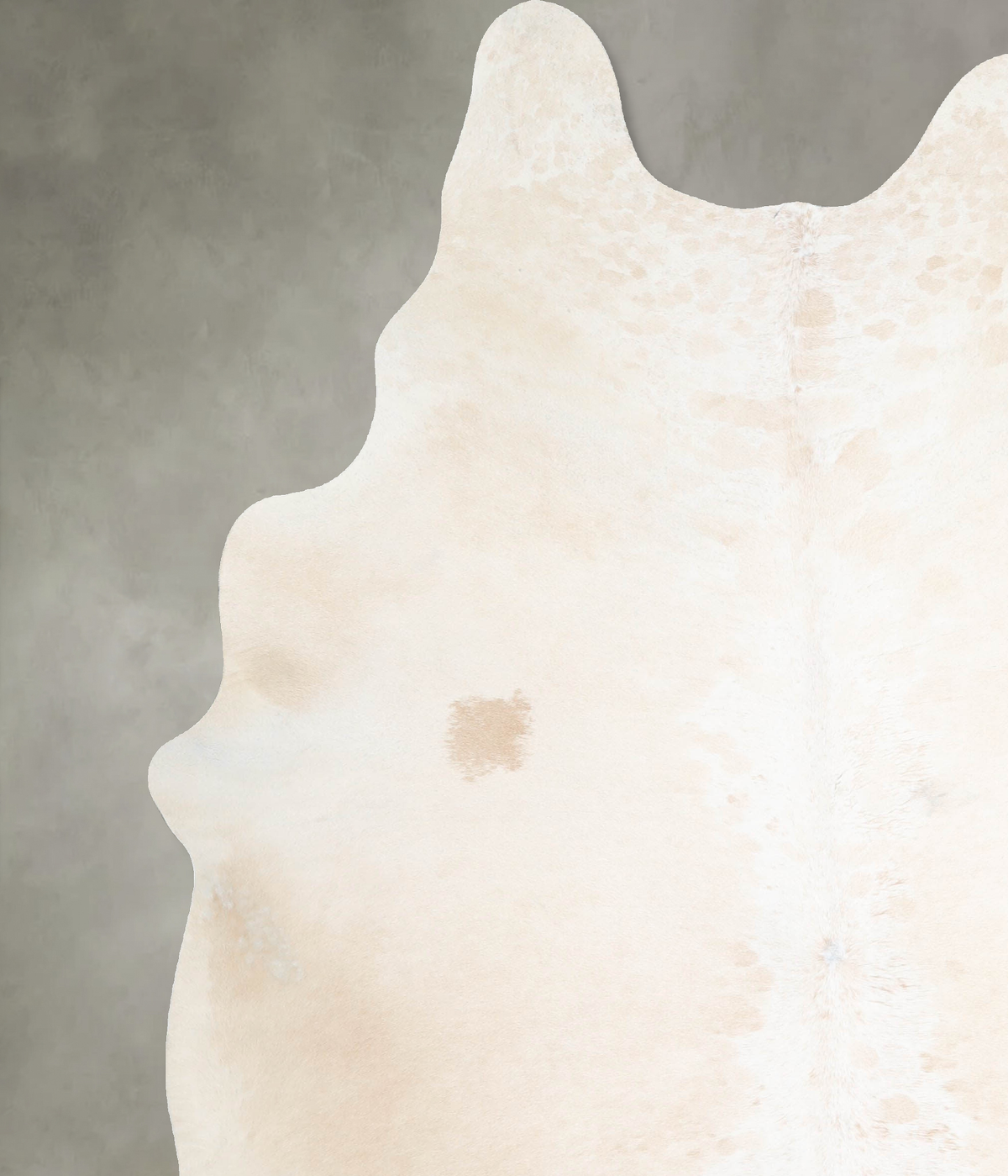 Ivory with Beige X-Large Brazilian Cowhide Rug 8'0"H x 6'3"W #A54655 by Hudson Hides