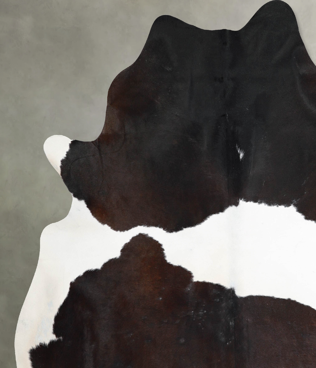 Chocolate and White X-Large Brazilian Cowhide Rug 7'10"H x 6'4"W #A54657 by Hudson Hides