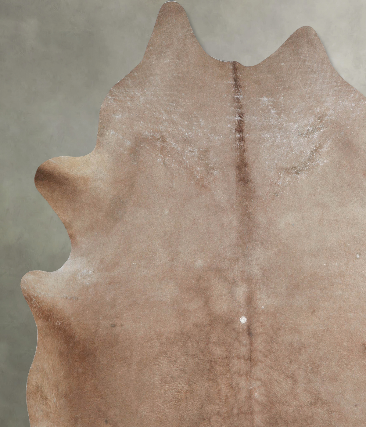 Taupe XX-Large Brazilian Cowhide Rug 8'0"H x 7'4"W #A54660 by Hudson Hides