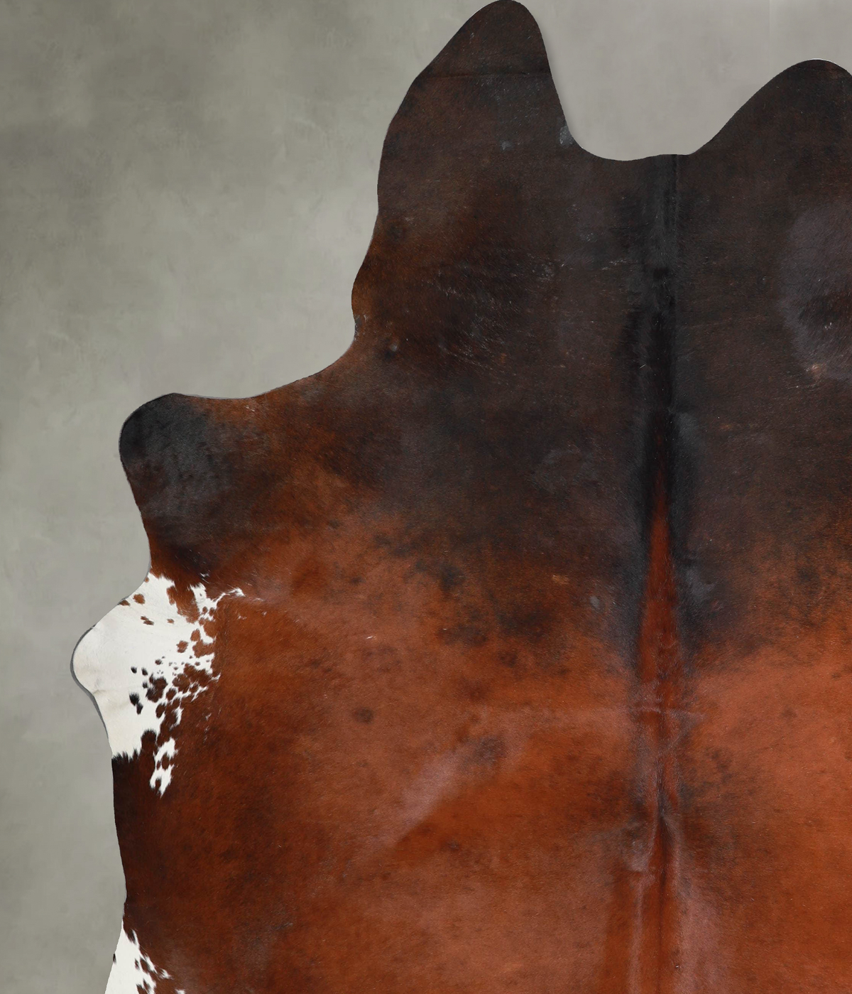 Warm Caramel XX-Large Brazilian Cowhide Rug 8'5"H x 6'11"W #A54666 by Hudson Hides