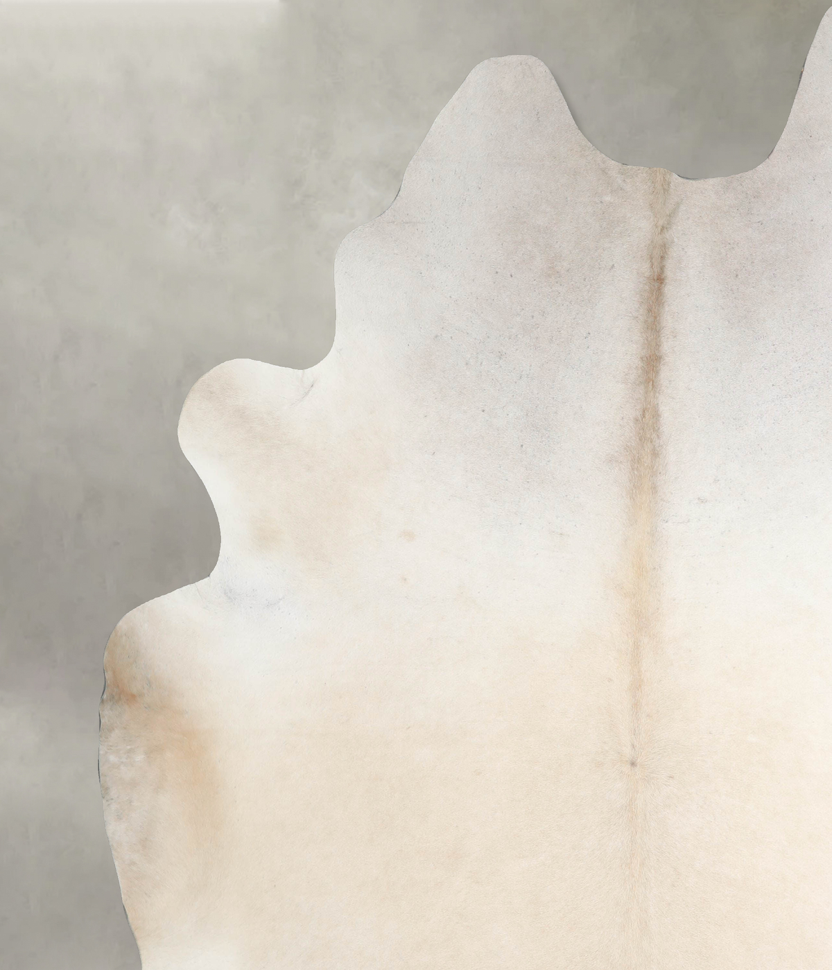 Palomino XX-Large Brazilian Cowhide Rug 8'11"H x 8'0"W #A54672 by Hudson Hides