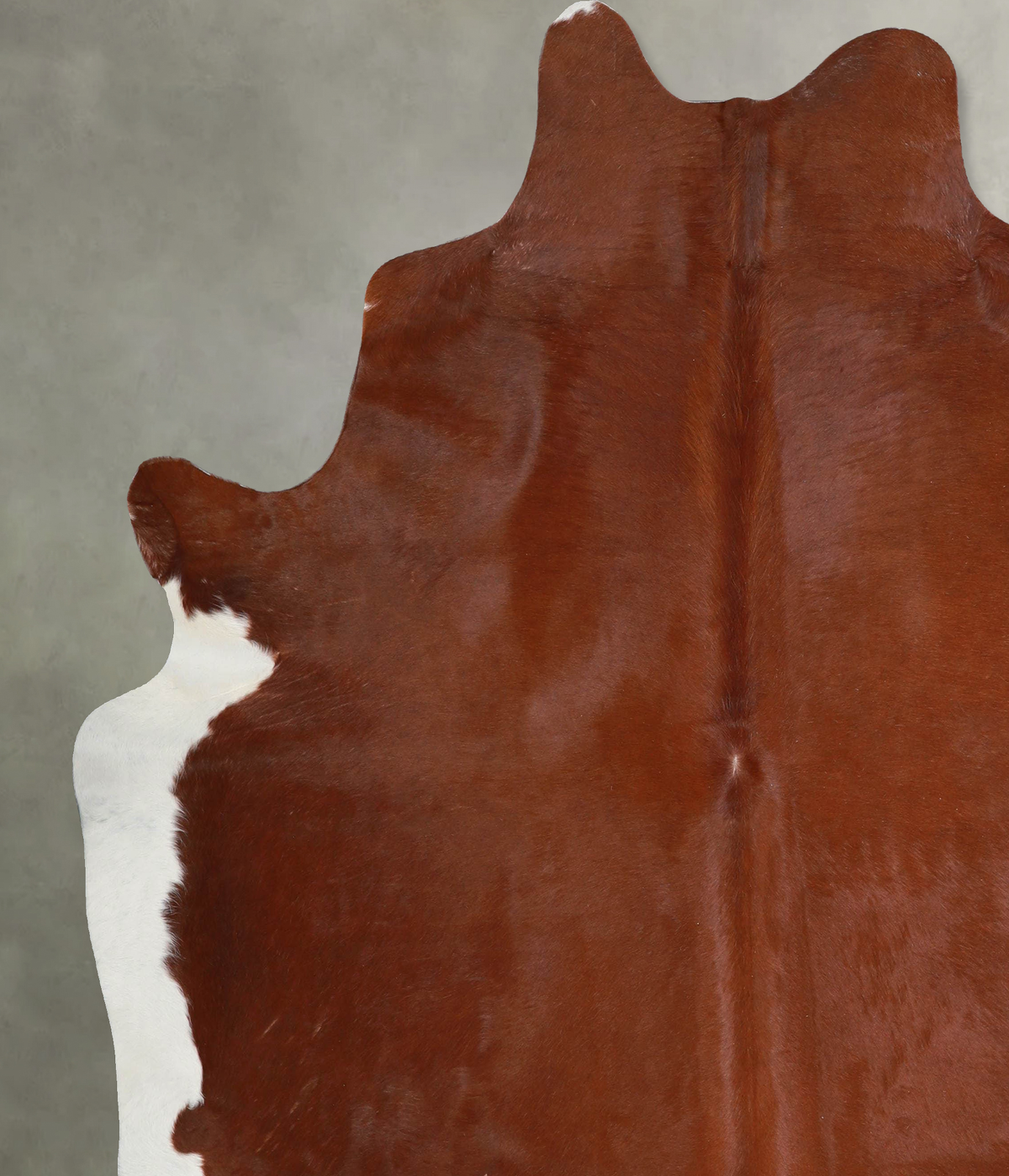 Solid Brown XX-Large Brazilian Cowhide Rug 7'10"H x 7'0"W #A54673 by Hudson Hides