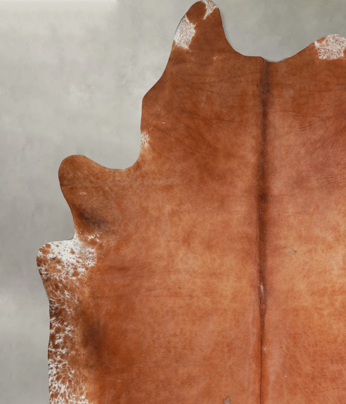 Solid Brown XX-Large Brazilian Cowhide Rug 9'3"H x 7'10"W #A54675 by Hudson Hides