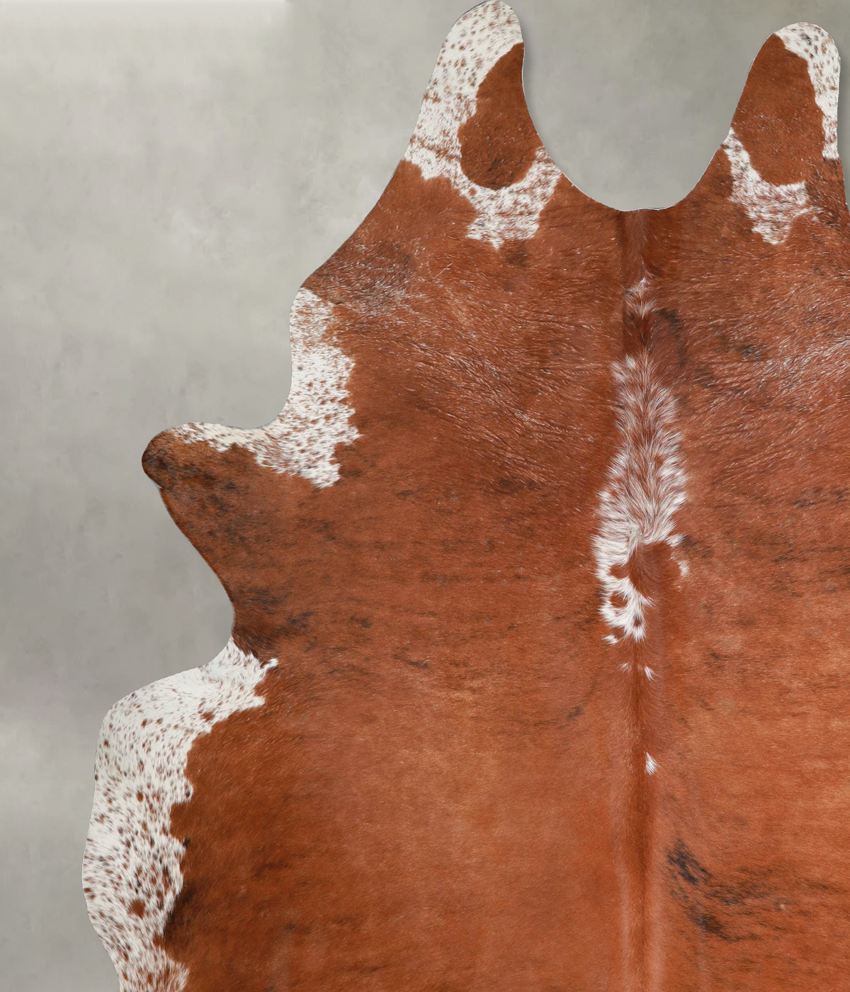 Brown and White Regular XX-Large Brazilian Cowhide Rug 8'6"H x 6'10"W #A54677 by Hudson Hides