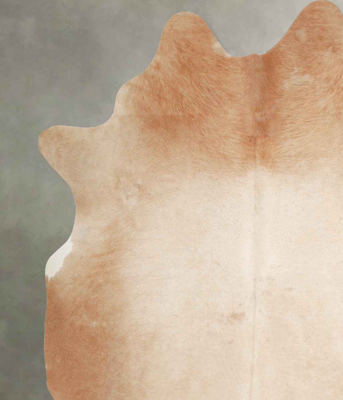 Beige X-Large Brazilian Cowhide Rug 7'8"H x 6'4"W #A54678 by Hudson Hides