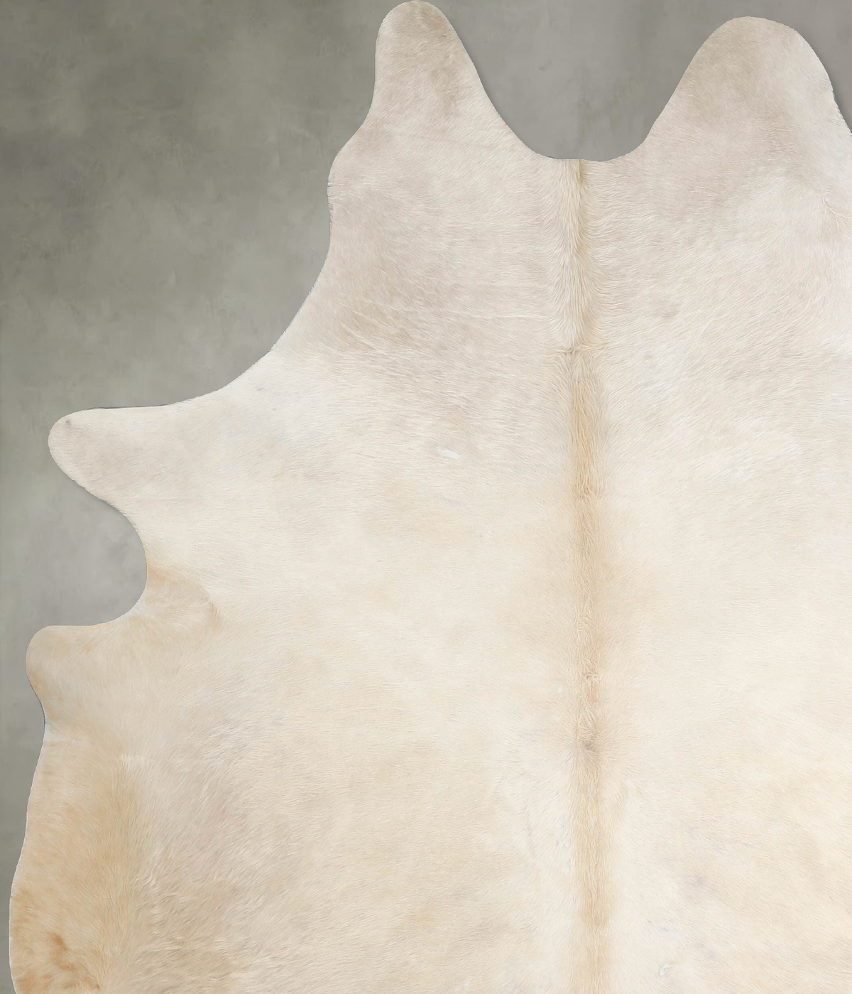 Champagne XX-Large Brazilian Cowhide Rug 7'9"H x 6'7"W #A54679 by Hudson Hides