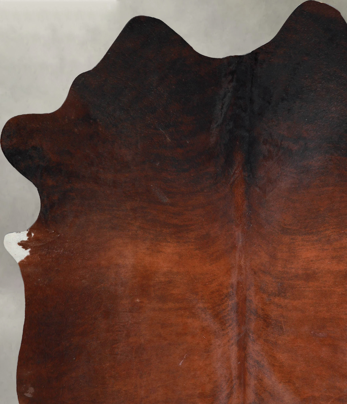 Warm Caramel XX-Large Brazilian Cowhide Rug 8'2"H x 6'7"W #A54688 by Hudson Hides