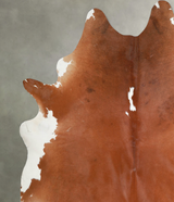 Brown and White Regular XX-Large Brazilian Cowhide Rug 8'6"H x 7'5"W #A54699 by Hudson Hides