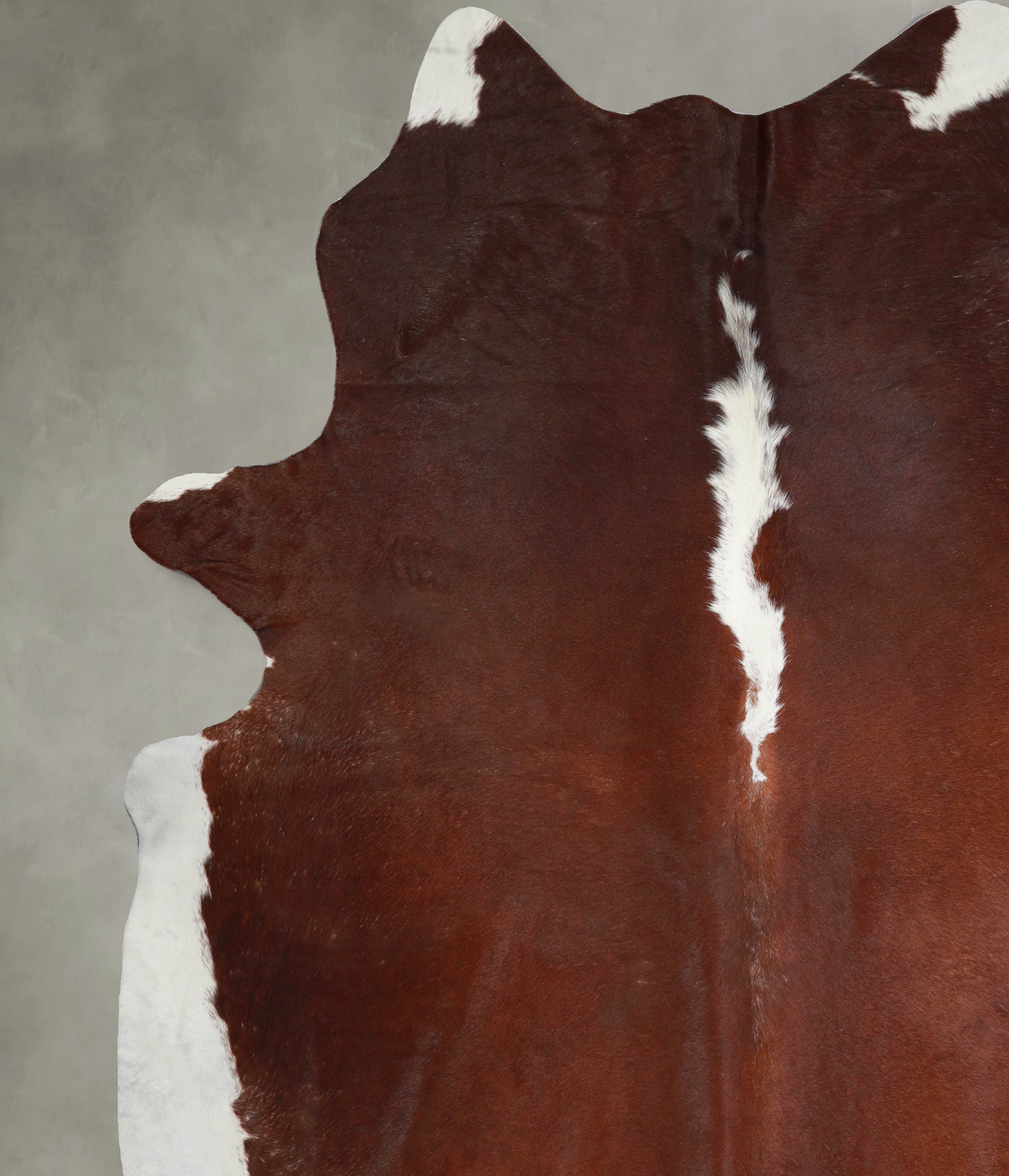Hereford XX-Large Brazilian Cowhide Rug 8'7"H x 7'4"W #A54702 by Hudson Hides