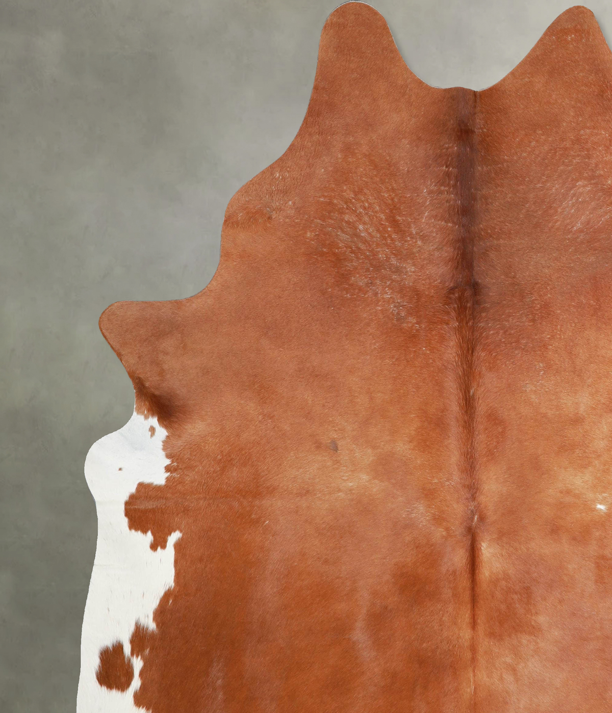 Brown and White Regular X-Large Brazilian Cowhide Rug 7'8"H x 6'2"W #A54705 by Hudson Hides
