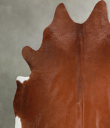 Solid Brown XX-Large Brazilian Cowhide Rug 8'5"H x 7'8"W #A54706 by Hudson Hides