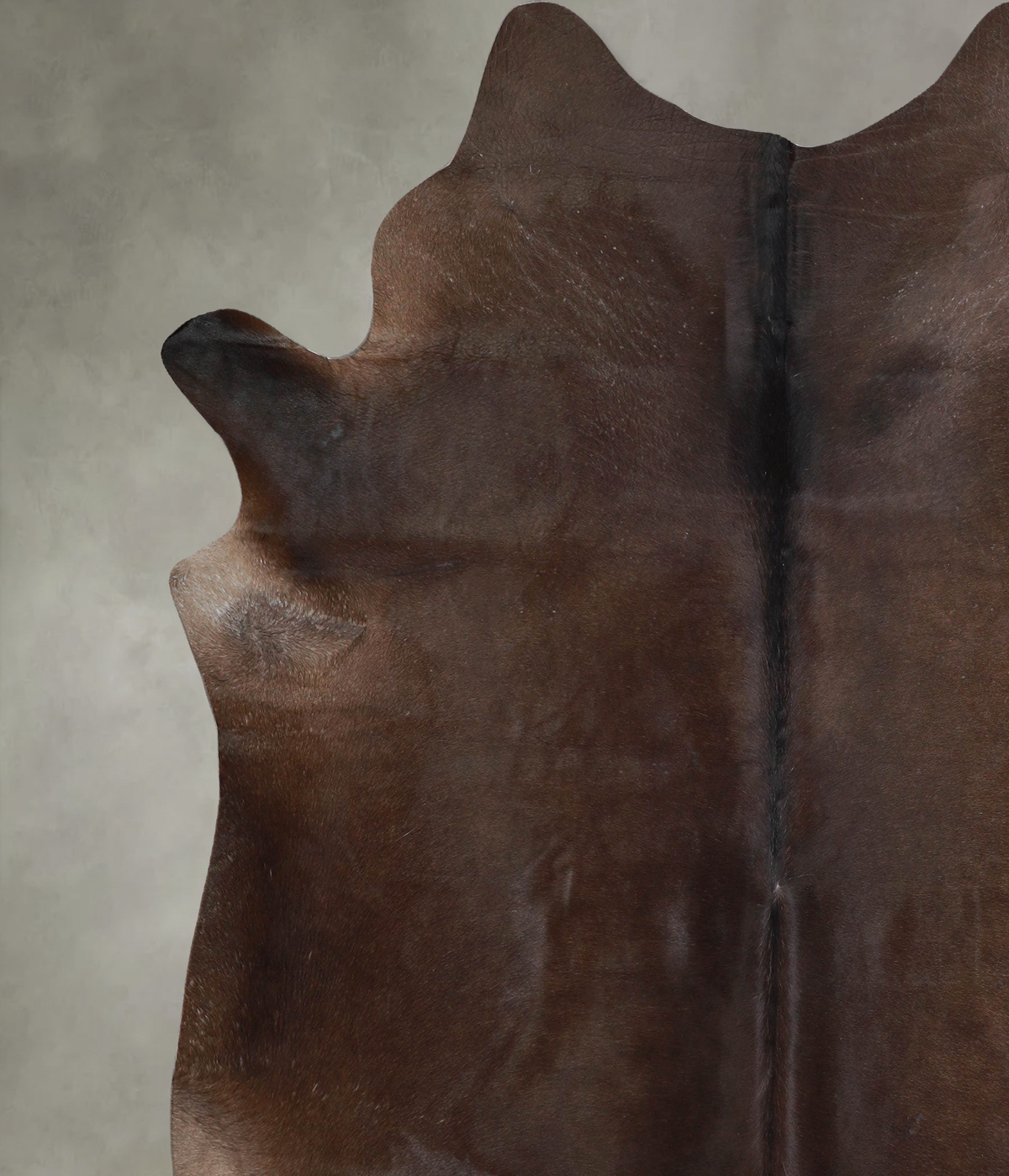 Chocolate XX-Large Brazilian Cowhide Rug 7'10"H x 7'0"W #A54709 by Hudson Hides