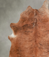 Medium Brindle XX-Large Brazilian Cowhide Rug 7'7"H x 7'4"W #A54711 by Hudson Hides