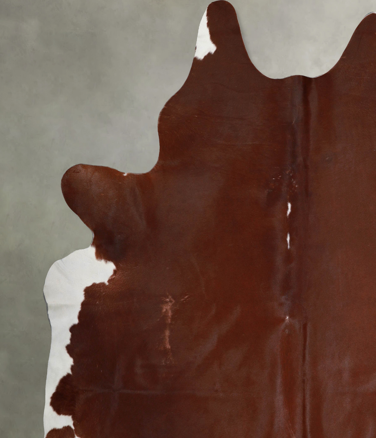 Brown and White Regular XX-Large Brazilian Cowhide Rug 8'3"H x 7'5"W #A54721 by Hudson Hides