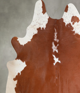 Brown and White Regular X-Large Brazilian Cowhide Rug 6'11"H x 6'4"W #A54723 by Hudson Hides