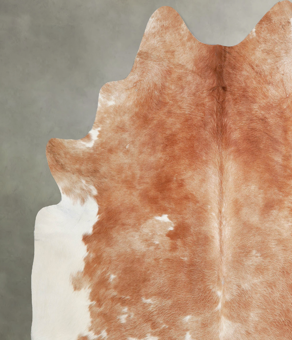 Brown and White XX-Large Brazilian Cowhide Rug 7'5"H x 6'10"W #A54724 by Hudson Hides