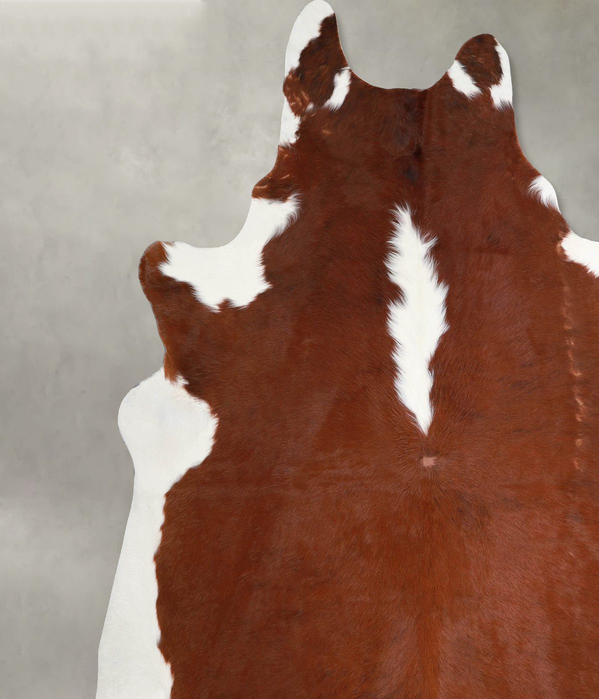 Hereford XX-Large Brazilian Cowhide Rug 8'2"H x 7'10"W #A54725 by Hudson Hides