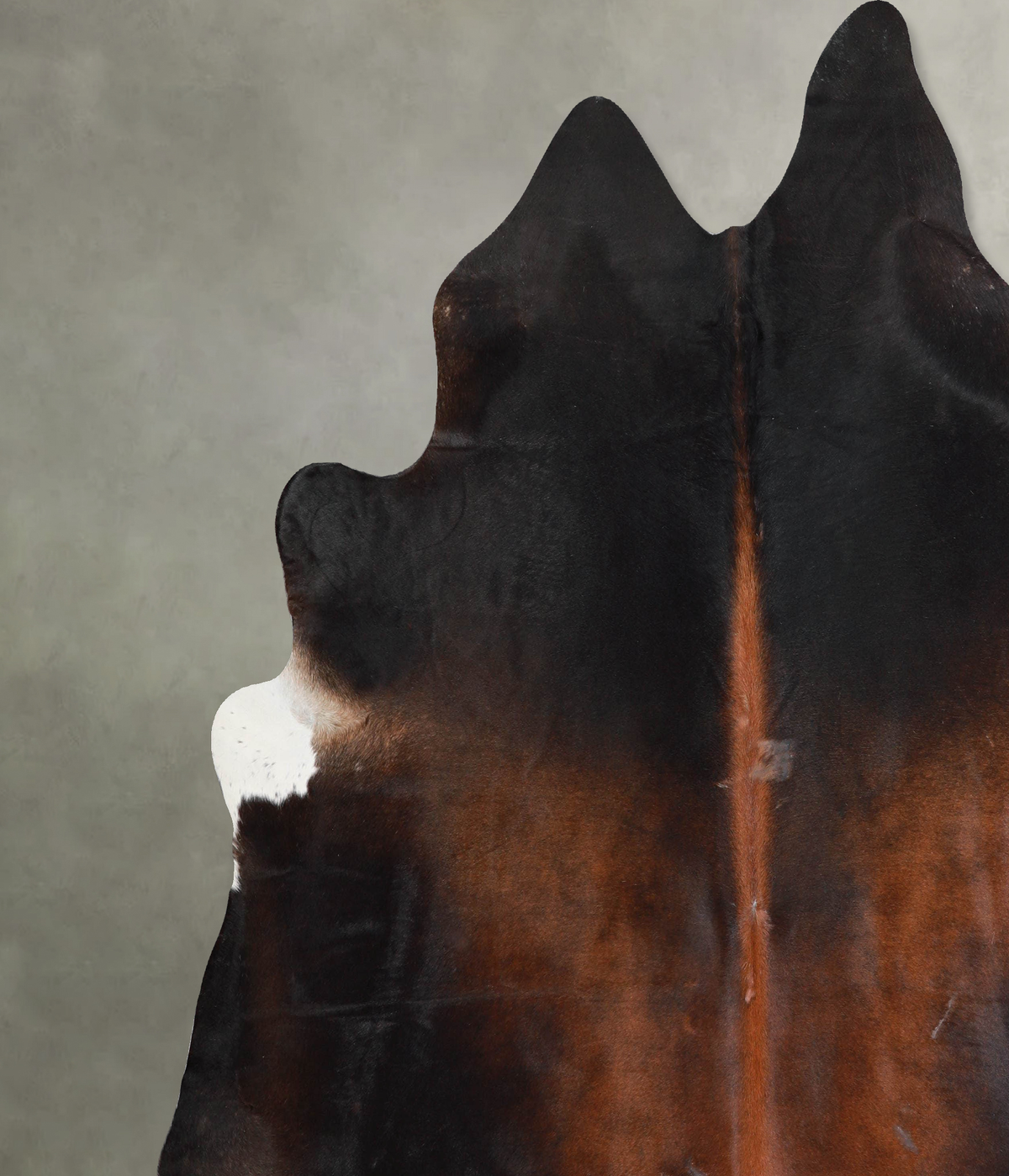 Warm Caramel XX-Large Brazilian Cowhide Rug 8'1"H x 7'10"W #A54726 by Hudson Hides
